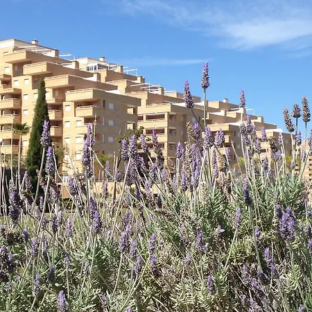 Be Suites Marina Apartamento *