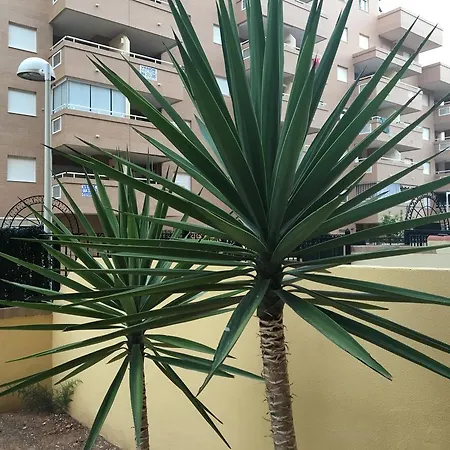 Apartamento Be Suites Marina *